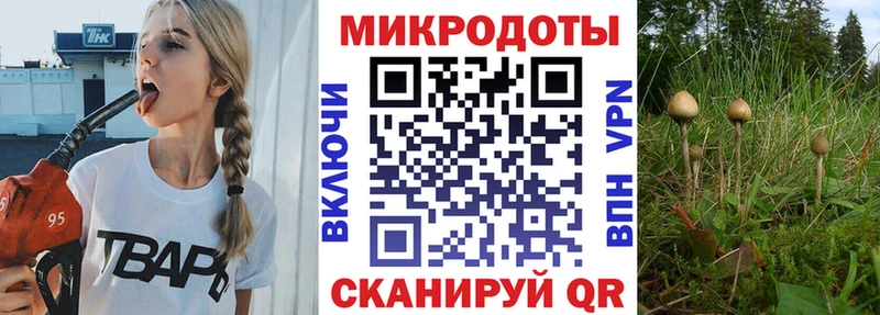 Псилоцибиновые грибы Magic Shrooms  Котельники 
